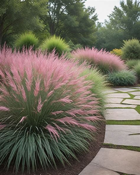Landscape Design With Ornamental Grasses