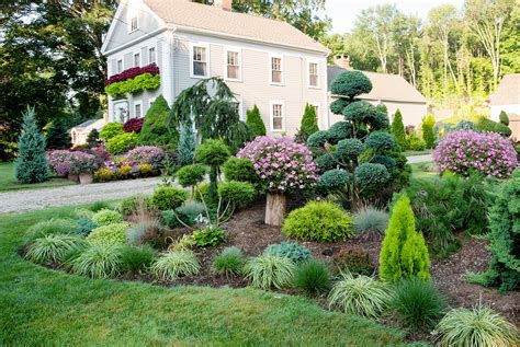 Landscape Design With Trees And Shrubs