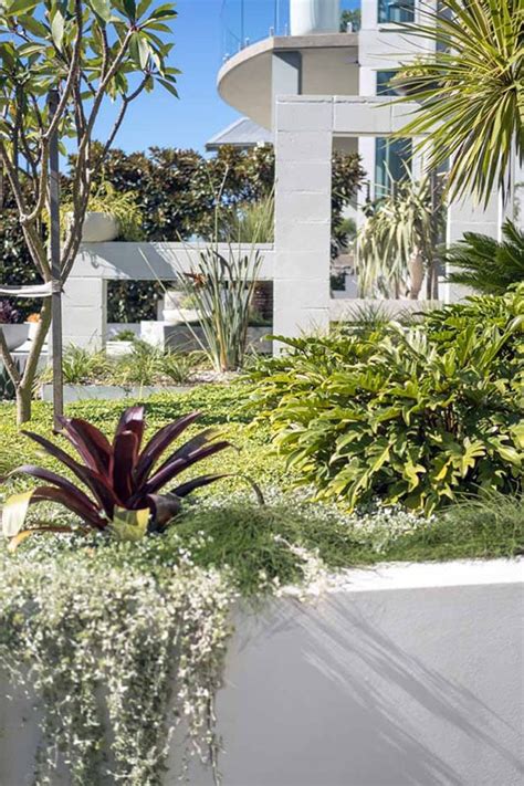 Landscape Design Wollongong