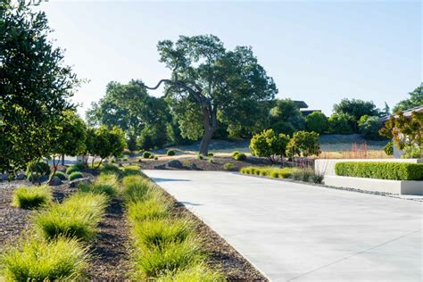 Landscape Design Woodland Ca