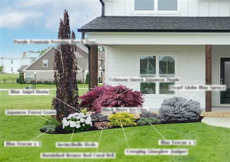 Landscape Design Zone 5