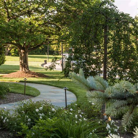 Landscape Designer Alexandria Va