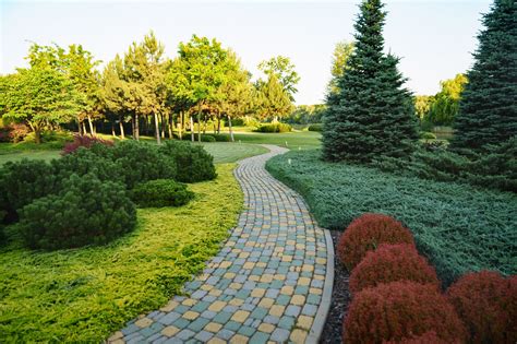Landscape Designer Arizona
