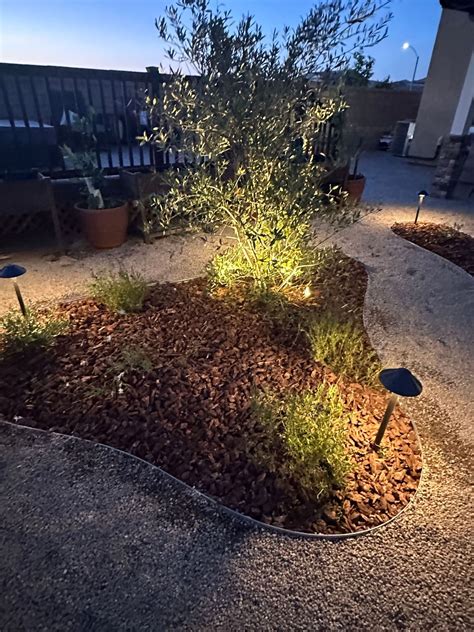 Landscape Designer Carlsbad Ca