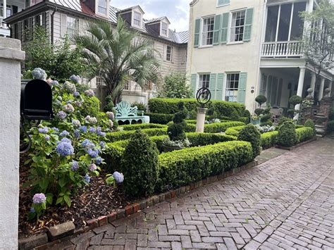 Landscape Designer Charleston Sc