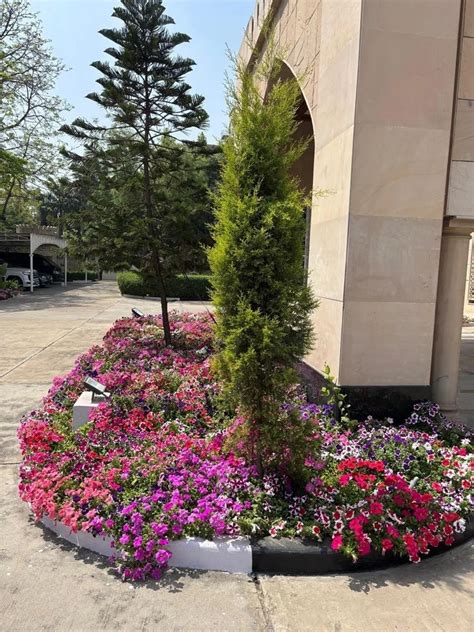 Landscape Designer In Delhi