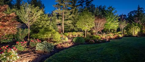 Landscape Designer Raleigh Nc