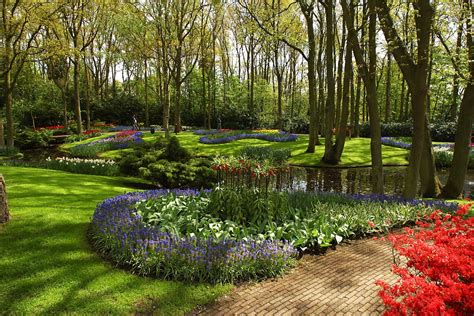 Landscape Designer Springfield Mo