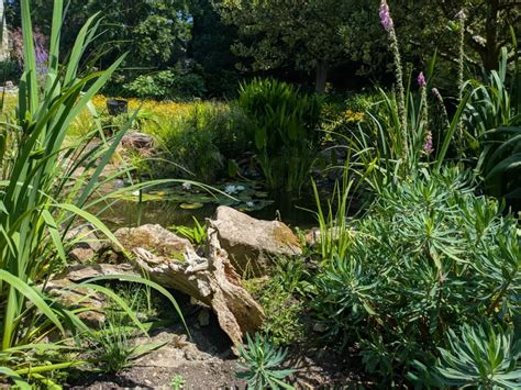 Landscape Designers Cornwall