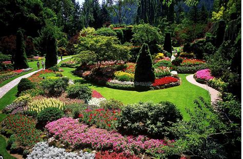 Landscape Designers Mn