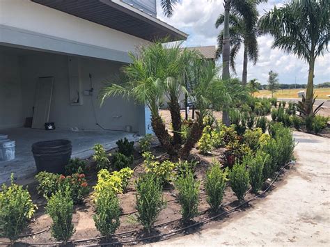 Landscape Designers Tampa Fl