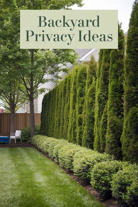 Landscape Designs For Privacy