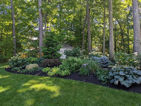 Landscape Designs For Shade