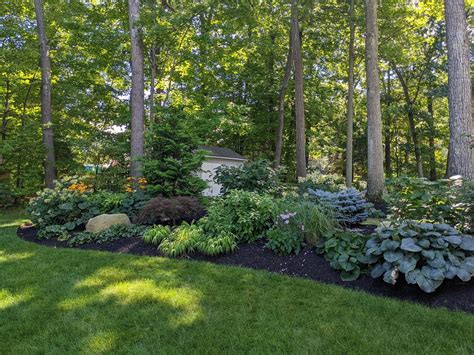Landscape Designs For Shaded Areas