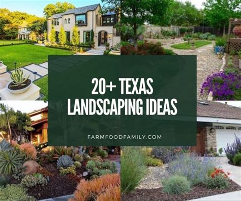 Landscape Designs Texas