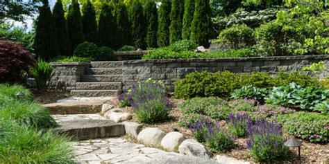 Landscape Designs That Benefit The Environment