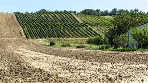 Landscape Dirt Near Me