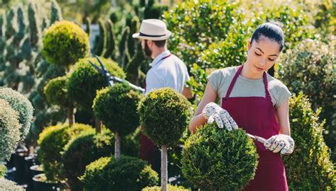 Landscape Gardener Insurance