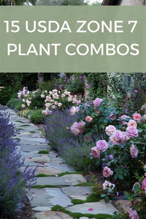 Landscape Ideas Zone 7