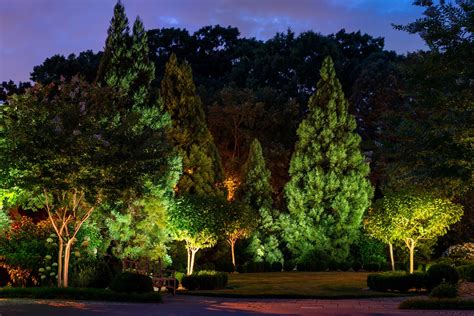 Landscape Lighting For Large Trees