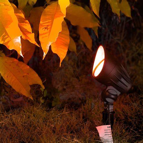 Landscape Lighting Lenses