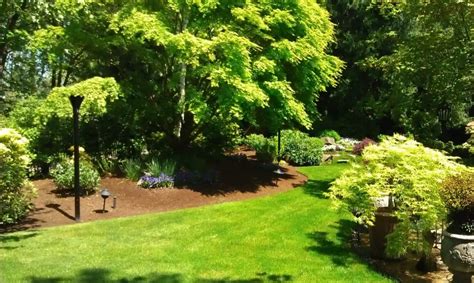Landscape Maintenance Eugene Oregon