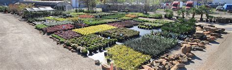 Landscape Nursery Dallas