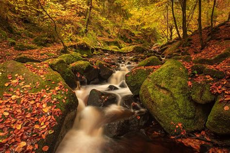 Landscape Photography Autumn