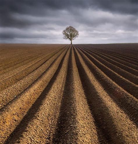 Landscape Photography Focal Point