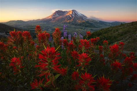 Landscape Photography Focus Stacking