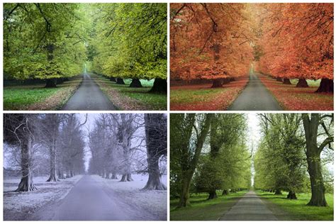 Landscape Photography Four Seasons