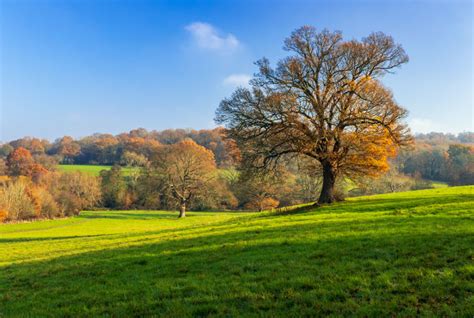 Landscape Photography Kent