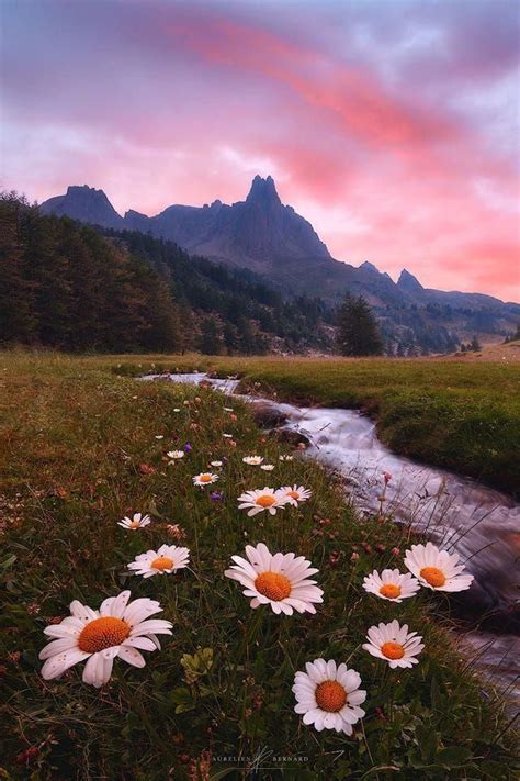 Landscape Photography Pinterest