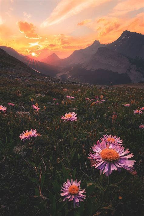 Landscape Photography Tumblr