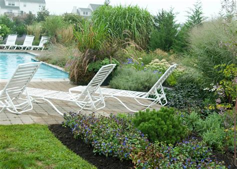 Landscape Plants Around A Swimming Pool