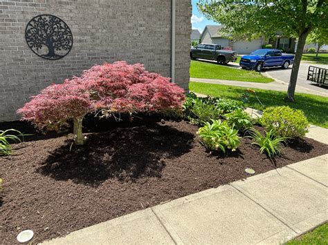 Landscape Rock Lexington Ky