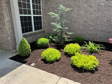 Landscape Services Lexington Ky