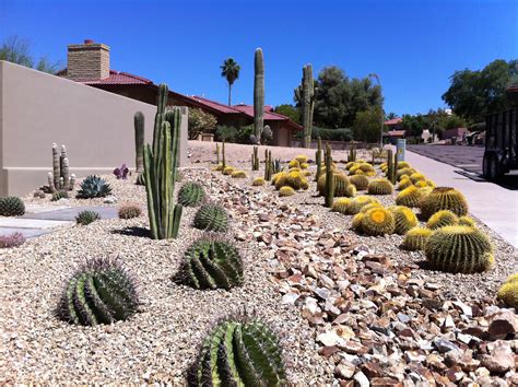 Landscape Services Phoenix Az
