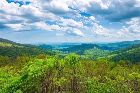 Landscape Spring Hill Tn