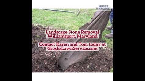 Landscape Stone Removal