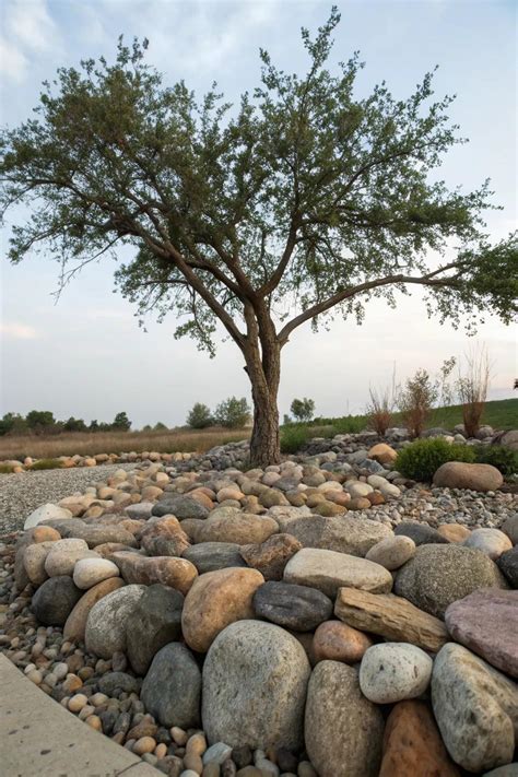Landscape Stones Around Trees
