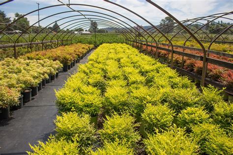 Landscape Supply Seattle