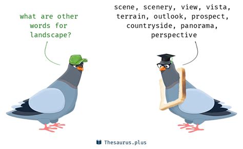 Landscape Thesaurus