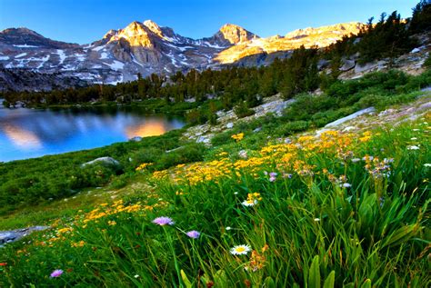 Landscape Wallpaper Spring