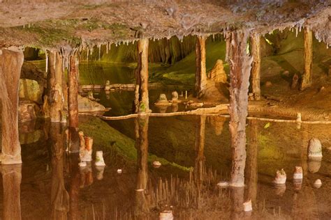 Landscape surrounding Can Marca Cave