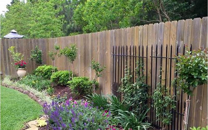 Landscaping Options Against Privacy Fence: A Comprehensive Guide