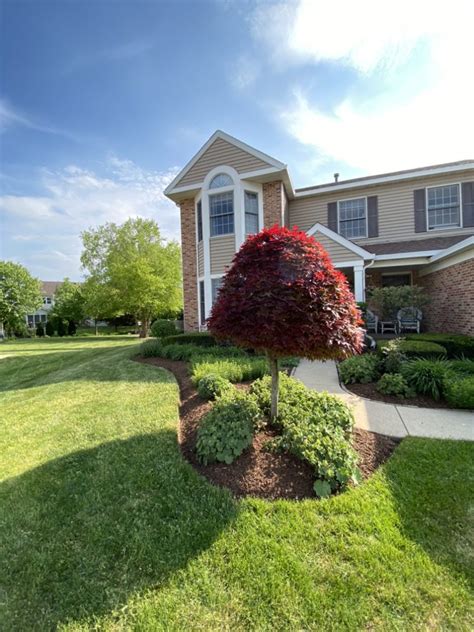 Landscaping Elgin Illinois