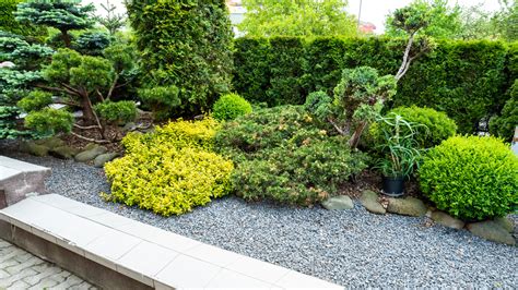 Landscaping Plants Green