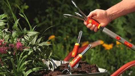 Landscaping Tools You Need