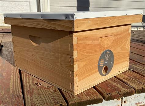 Single Langstroth Swarm Trap Hive